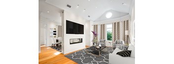 A modern living room with a fireplace and a television.
