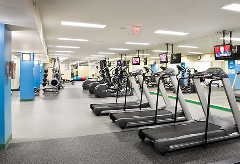 A gym with treadmills and exercise equipment.