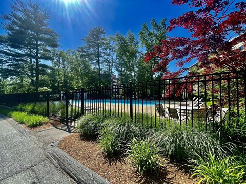 A pool surrounded by a black fence and red trees.