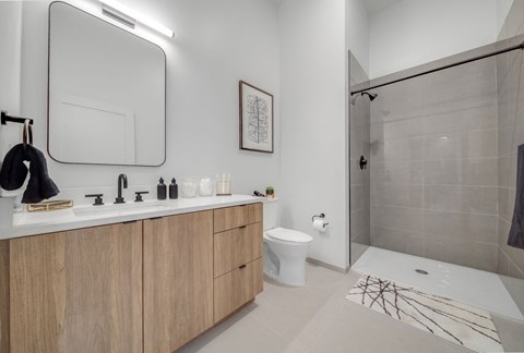 a bathroom with a sink and a toilet and a shower