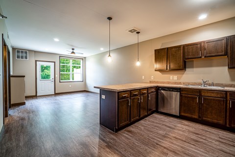 A kitchen with wooden cabinets and a dishwasher.