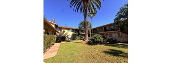 A palm tree stands in the middle of a grassy area in front of apartment buildings.