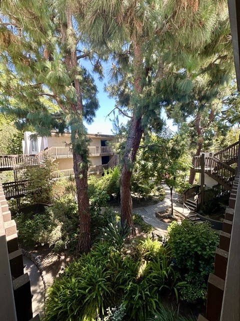 A view from a balcony looking down at a courtyard with trees and plants.