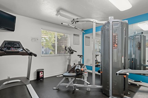 A treadmill, a stationary bike, and a weight machine in a gym.