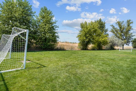 A soccer goal stands in a field with trees in the background.