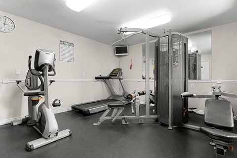 A gym with a treadmill, a weight bench and a squat rack.