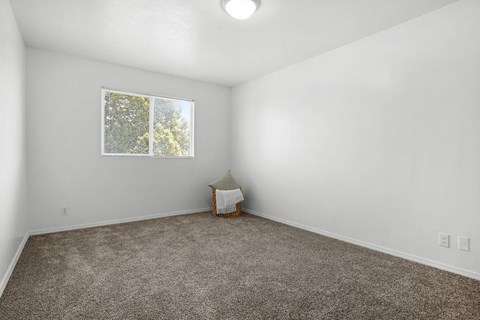 A room with a carpeted floor and a window showing trees outside.