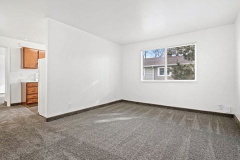 A large empty room with a carpeted floor and a window showing a building outside.