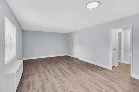 A room with light grey walls and wooden flooring with a window on the left.
