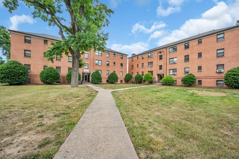 A tree stands in front of a brick building with a concrete walkway leading to the entrance.