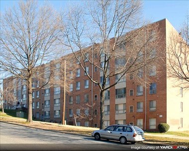 3839 64Th Avenue 1-3 Beds Apartment for Rent - Photo Gallery 3