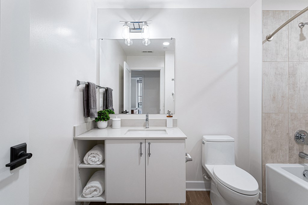 a bathroom with a sink and a toilet and a mirror