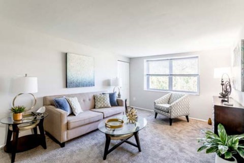 A living room with a couch, chair, and potted plant.