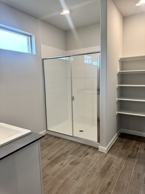 A bathroom with a walk-in shower and a sink.