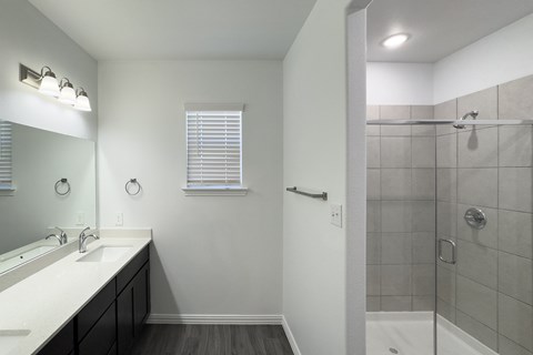 A bathroom with a white sink and a walk-in shower.