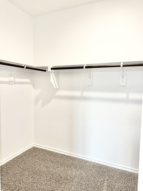 A white closet with a carpeted floor and a white wall.