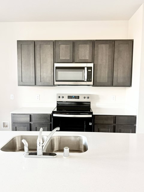 A modern kitchen with a stainless steel sink and black cabinets.