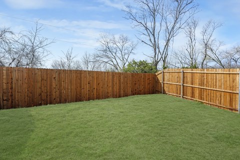 A backyard with a wooden fence and green grass.