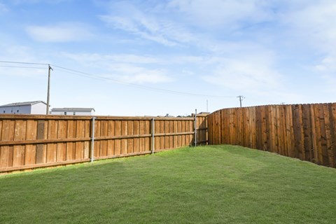 A backyard with a wooden fence and green grass.