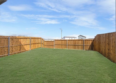 A backyard with a wooden fence and green grass.