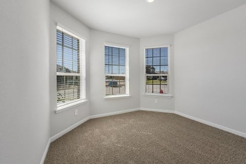 A room with carpeted floor and three windows.