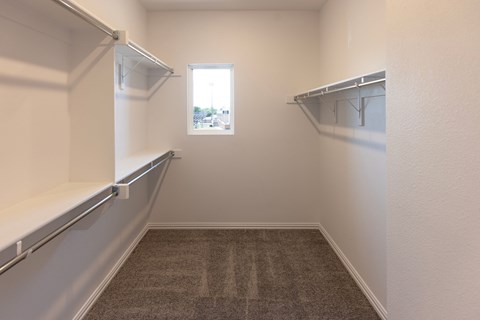 A white wall with a window and a carpeted floor.