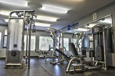 A gym with a variety of equipment including a squat rack, a leg press machine, and a chest press machine.