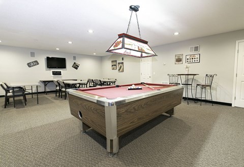 A pool table is in the middle of a room with a television and pictures on the wall.