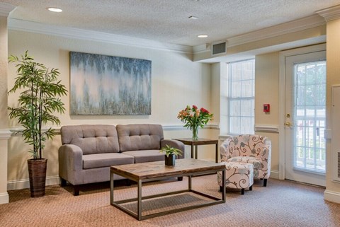 A living room with a grey couch, a coffee table, a potted plant, and a painting on the wall.