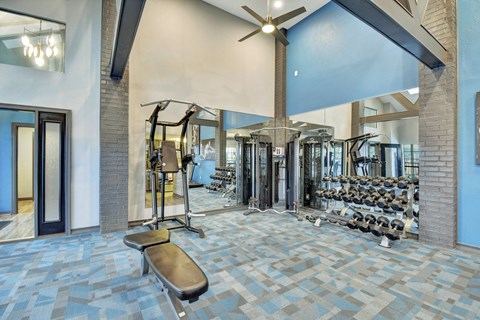 A gym with a variety of equipment including treadmills, weights, and a bench.