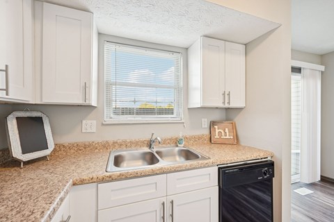 A kitchen with a sink and a dishwasher.