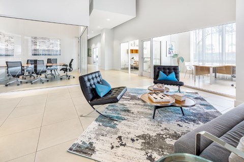 A modern living room with a black and white rug and a black sofa.
