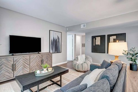 A modern living room with a grey couch, a wooden coffee table, and a flat screen TV.