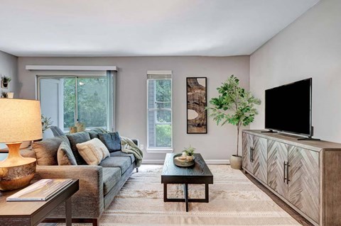 A living room with a grey couch, a wooden coffee table, a lamp, a plant, and a TV.