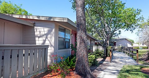 A house with a white fence and a tree in front.