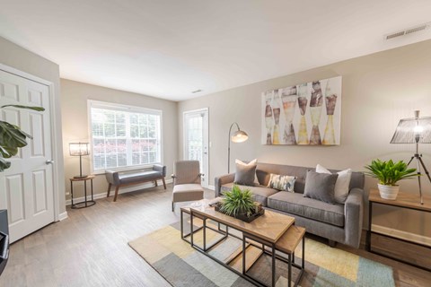 A living room with a grey couch, a coffee table, and a rug.