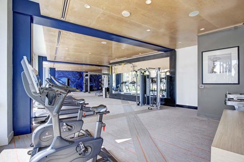 A gym with a row of exercise bikes and a treadmill.
