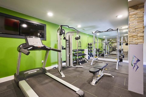 A gym with a treadmill, weights, and exercise equipment.