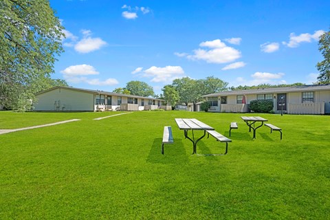 Picnic tables are set up on a green lawn in front of apartment buildings.