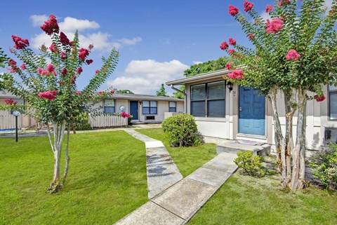 A house with a blue door and a red flower bush in front.