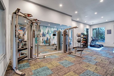 A gym with a variety of equipment including a treadmill, a rowing machine, and a weight bench.