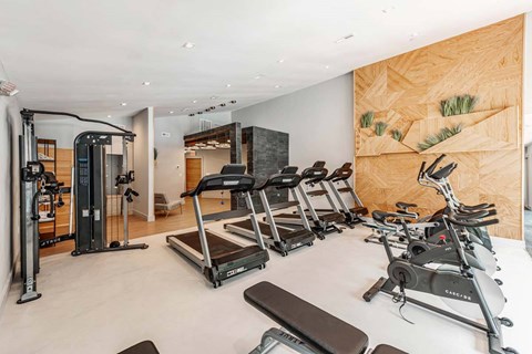 A gym with a variety of equipment including treadmills, weights, and exercise machines.