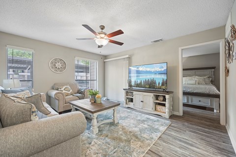 A living room with a couch, a coffee table, and a television.