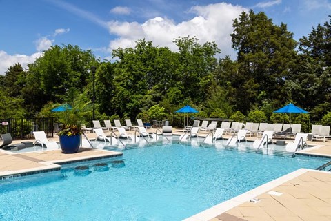 A large swimming pool surrounded by lounge chairs and umbrellas.
