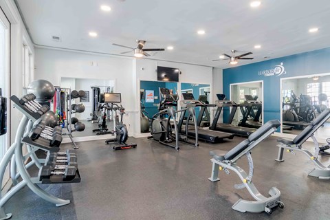 A gym with a variety of equipment including weights and machines.