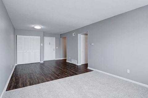 A spacious room with a white door and a grey carpet.