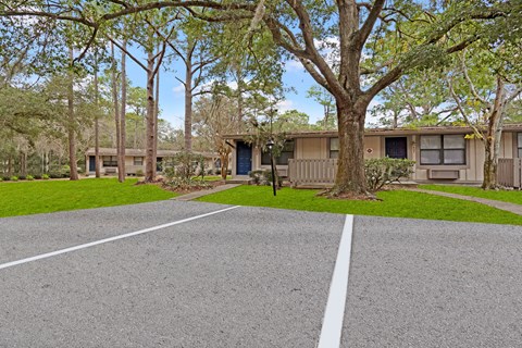 A parking lot with a white line in the middle and trees in the background.