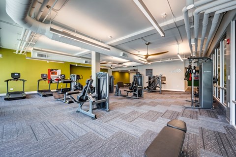 A gym with a variety of equipment including treadmills, weights, and a bench.