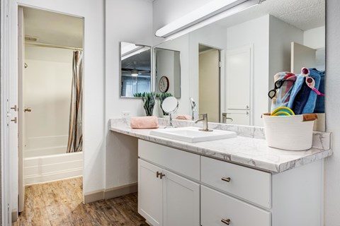 A bathroom with a white sink and a mirror above it.