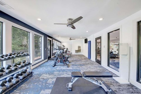 A gym with a row of dumbbells on the left and a bench in the middle.